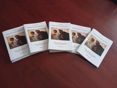 carta pastoral peregrinos esperanza obispo alcala 2024 25