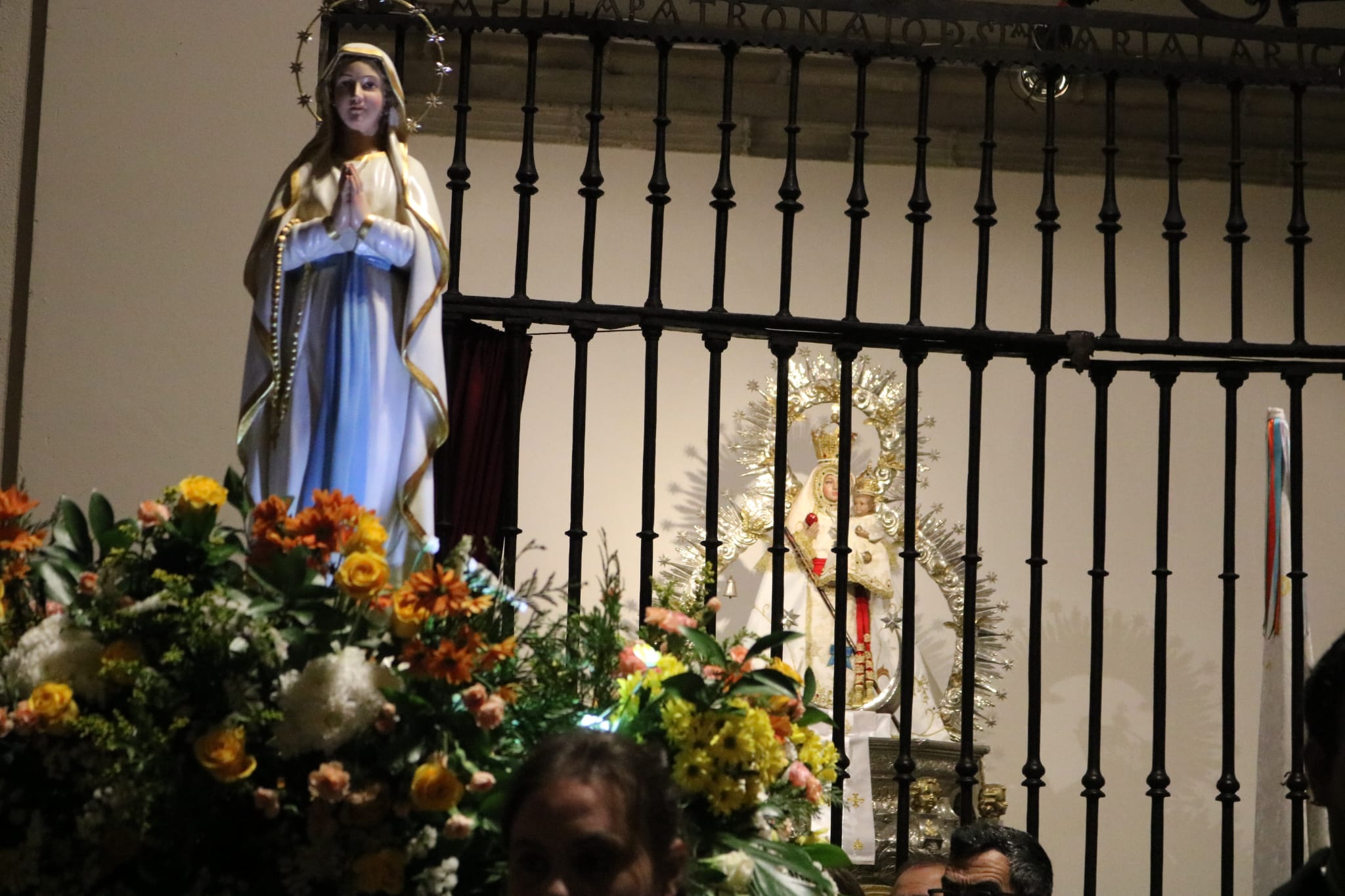 virgen lourdes val catedral alcala 26